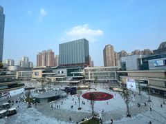 -花潮料理艺食馆(成都万象城店)