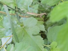 -大觉寺-停车场