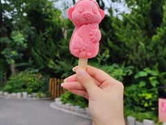 -青岛森林野生动物世界