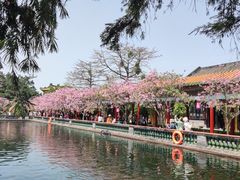 -宝墨园景区