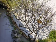 -南京市民俗博物馆(甘熙故居)