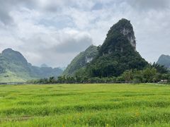 -靖西鹅泉风景区