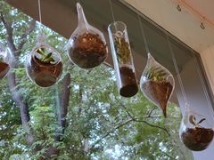 -BOCATA 西班牙餐厅(三里屯店)