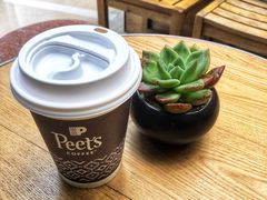 -Peet's 皮爷咖啡(陆家嘴中心店)