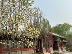 -北坞公园