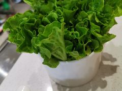 -古乐牛香·鲜牛肉牛杂火锅(梅村五洲国际店)