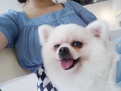 -怪兽屋·羊驼·猫咖·狗咖(俊华广场店)