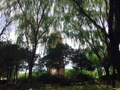 -昆山城市生态森林公园