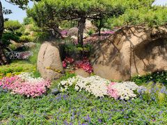 -罗红摄影艺术馆