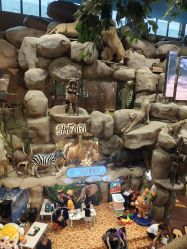 -卡通尼·Safari非洲探索乐园·生日会(金桥国际商业广场店)