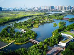 -大湾区中央湿地公园