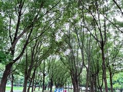 -蠡湖大桥公园