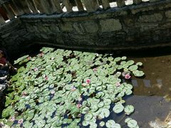 android_upload_pic-明十八先生墓
