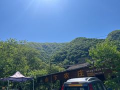 -王顺山国家森林公园
