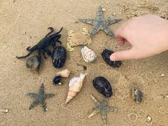 -海南清水湾莱佛士酒店