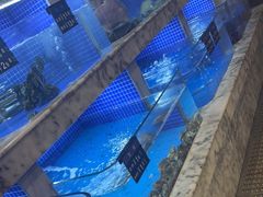 -香山湖渔家大院