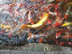 -食膳公园包子铺(烈士公园店)