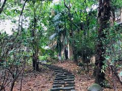 -观澜山水田园