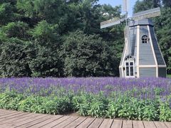 -黑龙江省森林植物园