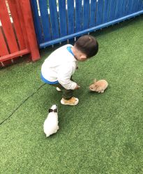 -萌宠亲子动物乐园(槐房万达店)