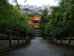 -富乐山