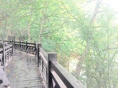 -白马涧龙池景区