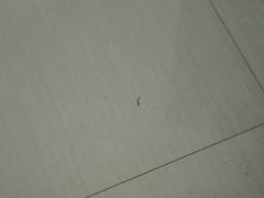 -福道