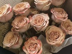 -吉林大学前卫校区南区-日新楼