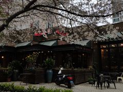 -玛格萝妮比萨屋(四平店)