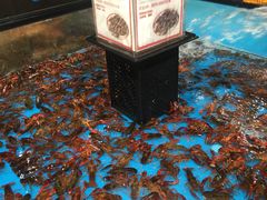 -盒马鲜生(曜一城店)
