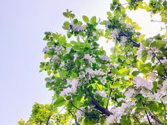 -星巴克(北京永定门店)