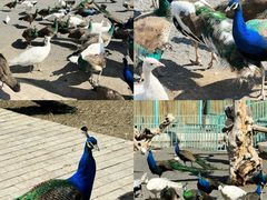 -水上乐园·欢乐世界