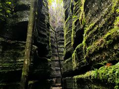 -梭布垭石林景区