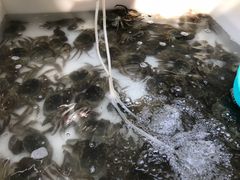 -旺山·浪头人家