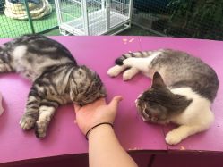 -萌宠亲子动物乐园(槐房万达店)