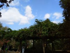 -白马涧龙池景区