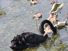 -天津东丽湖风景区