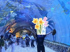 -华夏文旅海洋公园