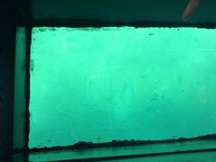 -亚龙湾海底世界