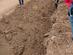 -解家河南菜(商鼎路店)