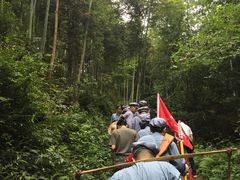 课外活动-全国青少年井冈山革命传统教育基地