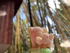 -野象谷景区