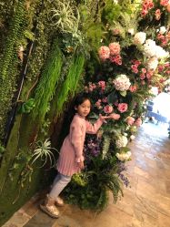 -小鸡哆哆故事屋·儿童乐园(嘉里城店)