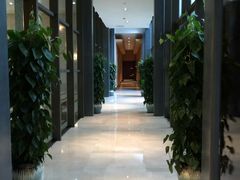 -常州环球恐龙城维景国际大酒店