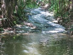 -燕晗山郊野公园