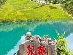 -靖西鹅泉风景区