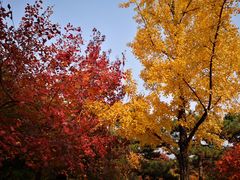 -香山公园