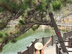 -沂蒙山旅游区云蒙景区(蒙山国家森林公园)