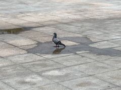 -人民广场