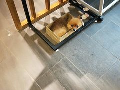 -泰·菩提树下[泰式按摩x精油SPAx肩颈头疗](新景店)